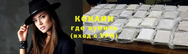 молекула духа Бородино