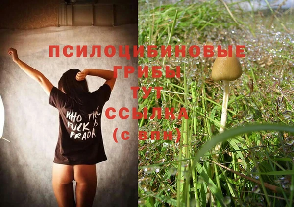 бошки Володарск