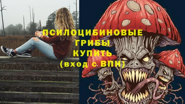 spice Верея