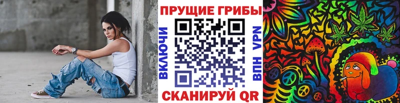 где продают   Жигулёвск  Галлюциногенные грибы Cubensis 